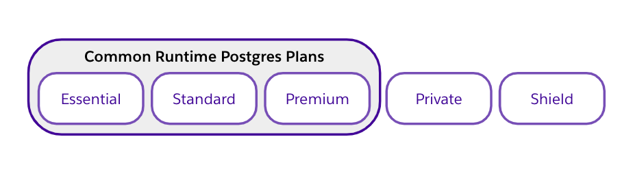 Common Runtime Postgres Plans