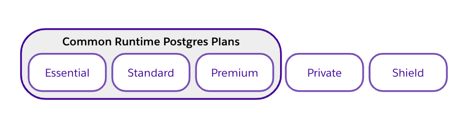 Common Runtime Postgres プラン